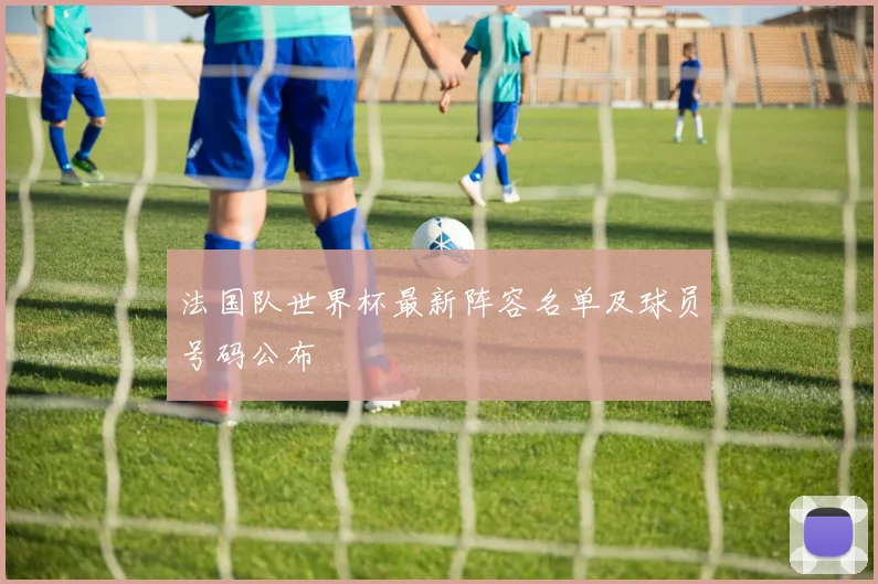 法国队世界杯最新阵容名单及球员号码公布